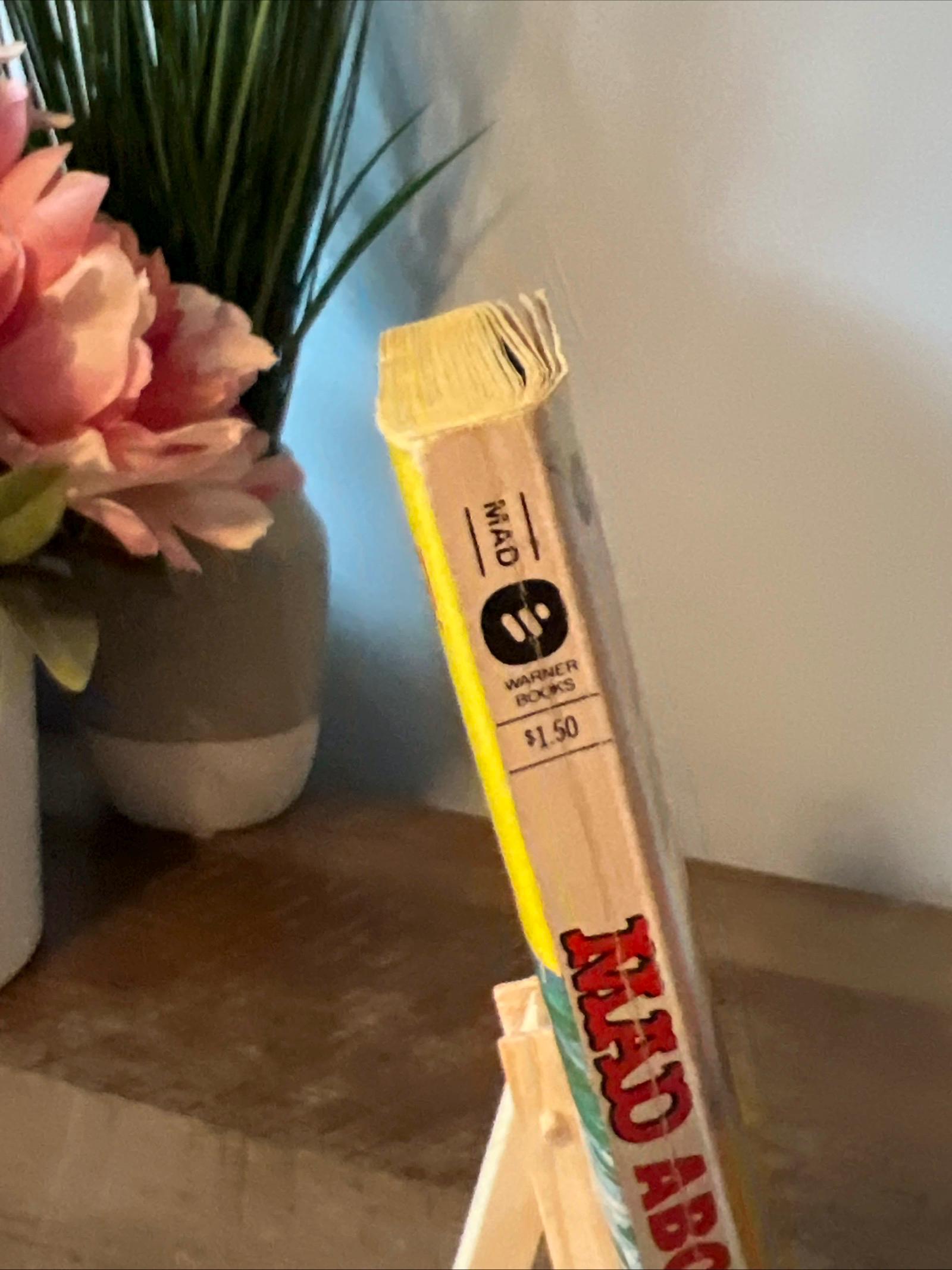 1980 Warner Books - MAD MAGAZINE - MAD About The Bouy Paperback Book # 53 - Graphic Novel