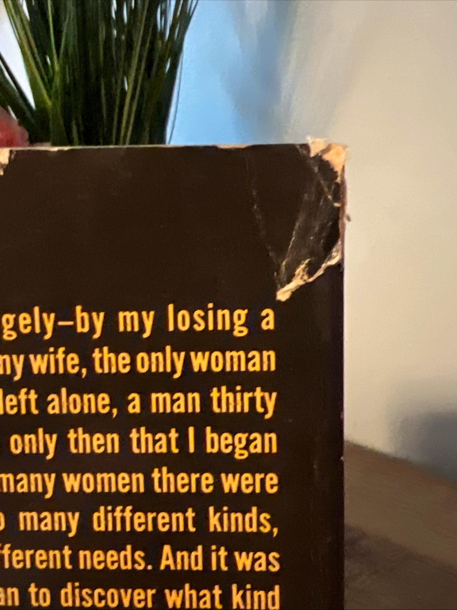 I, a Lover by Stiig Holm ( 1965 Dell Paperback ) Romance Novel