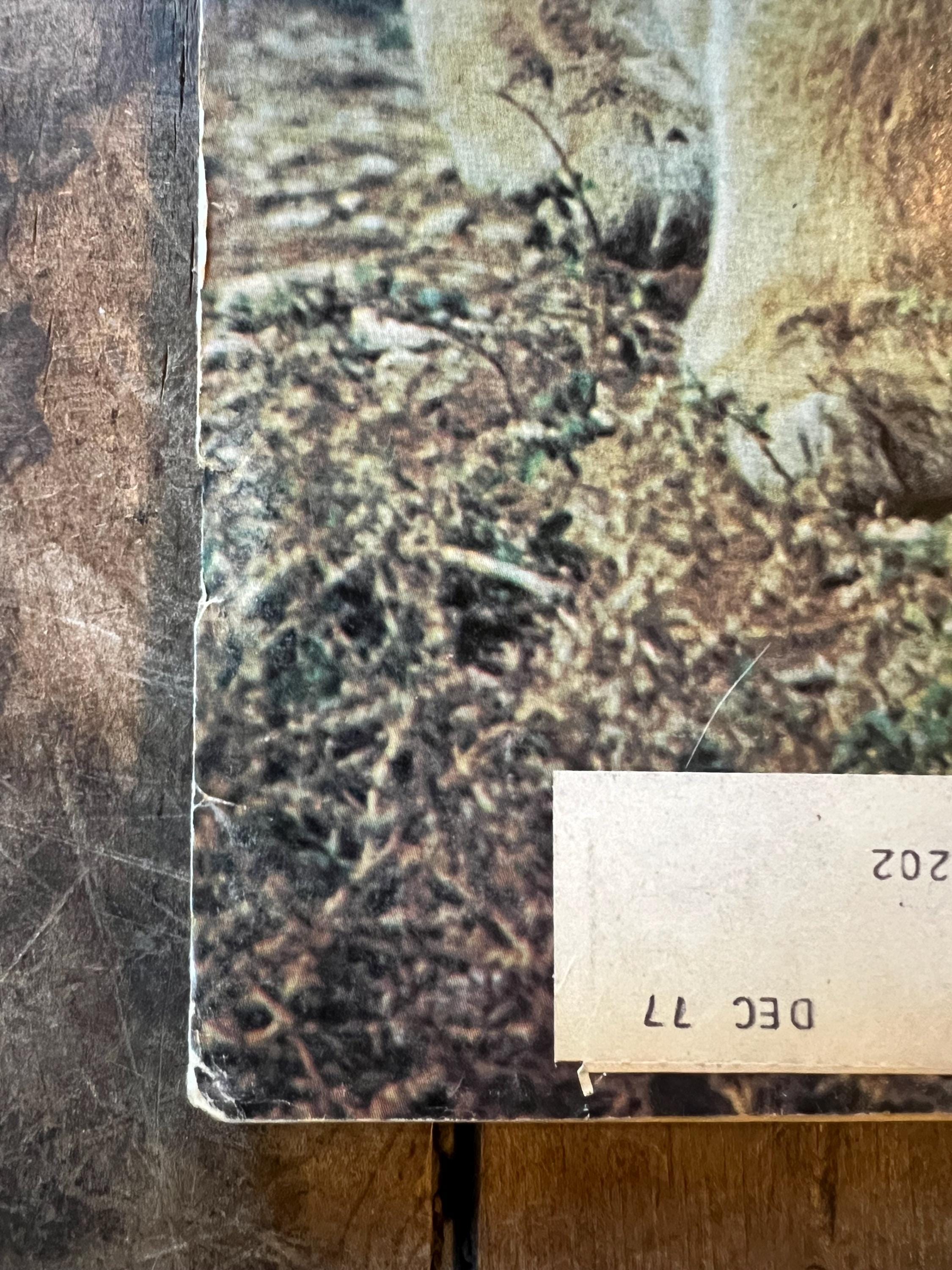 Vintage 1975 American Rifleman Magazine - February Edition
