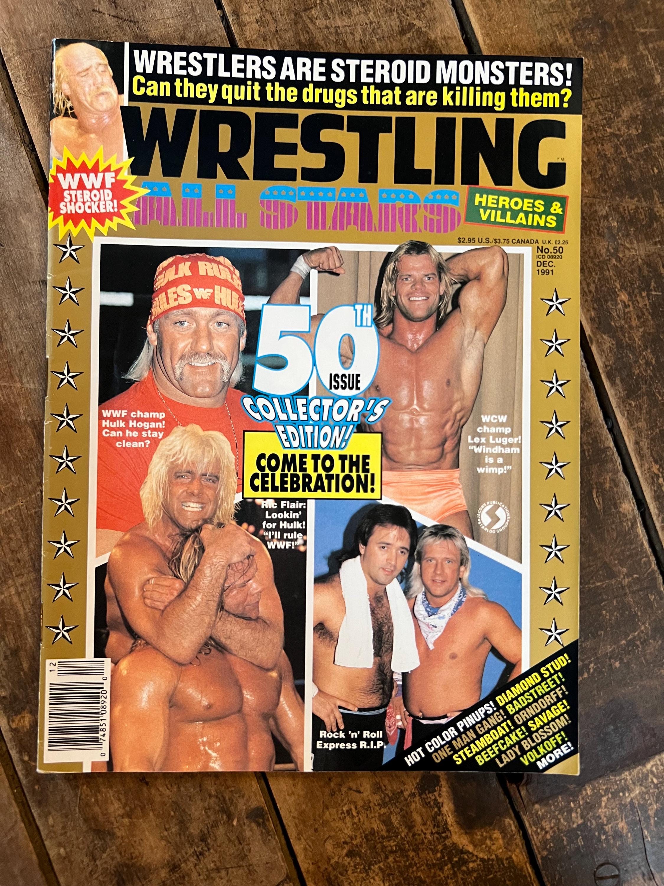 Wrestling All Stars Magazine - December 1991 WWF WWE - 50th Issue Collector’s Edition