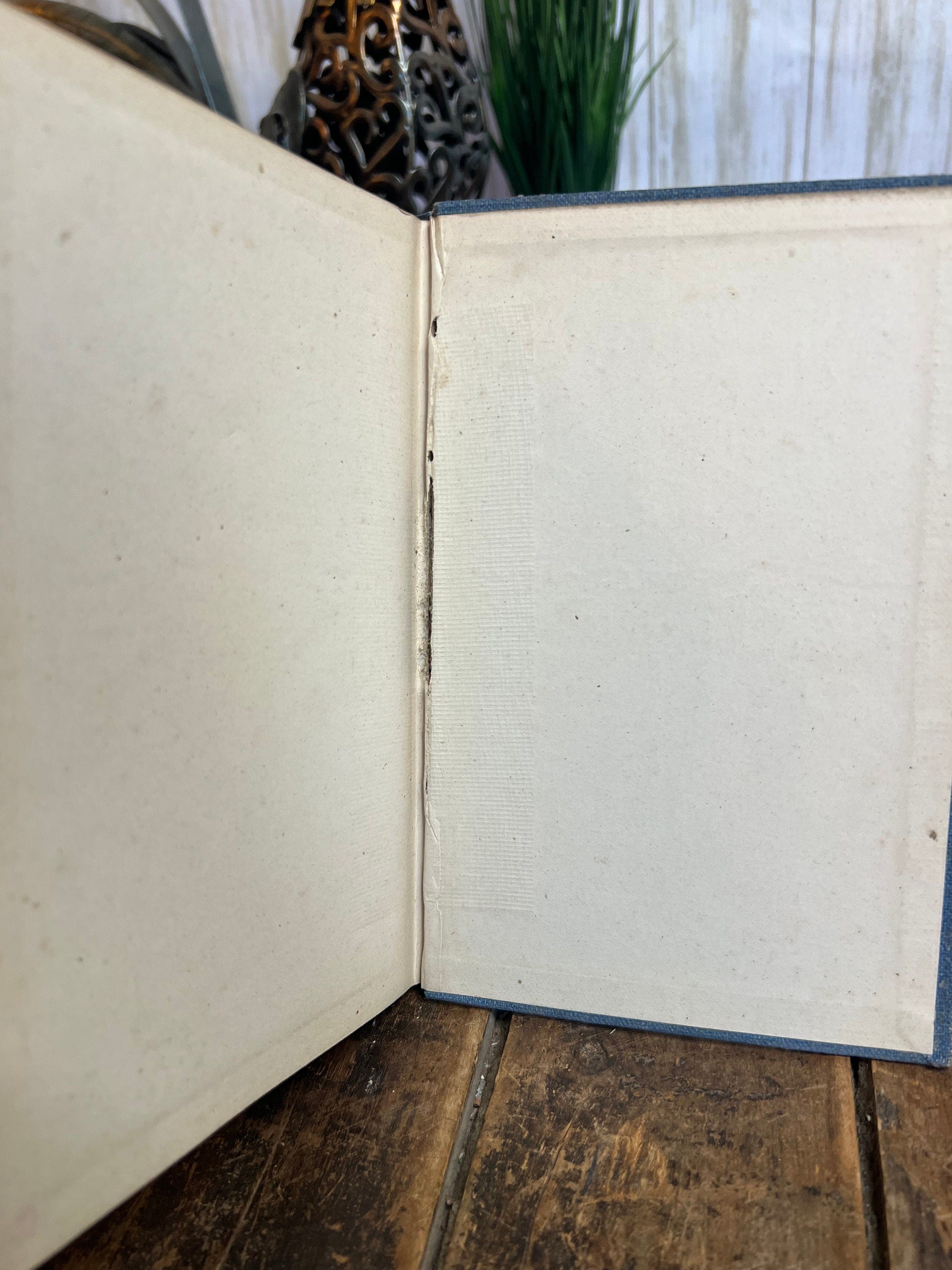 Old Mam’Selle’s Secret Hardcover Book by E. Marlitt (1896)