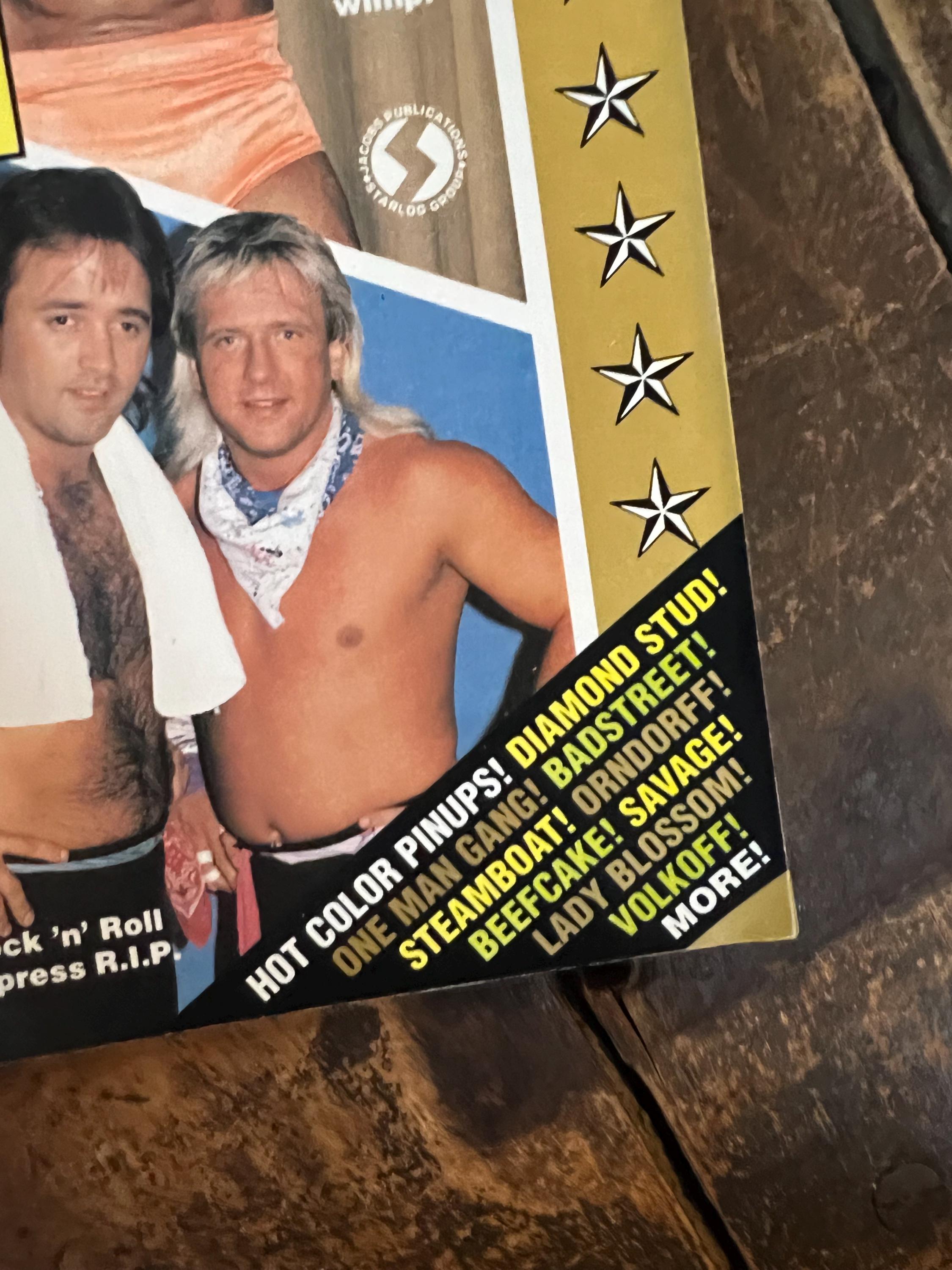 Wrestling All Stars Magazine - December 1991 WWF WWE - 50th Issue Collector’s Edition