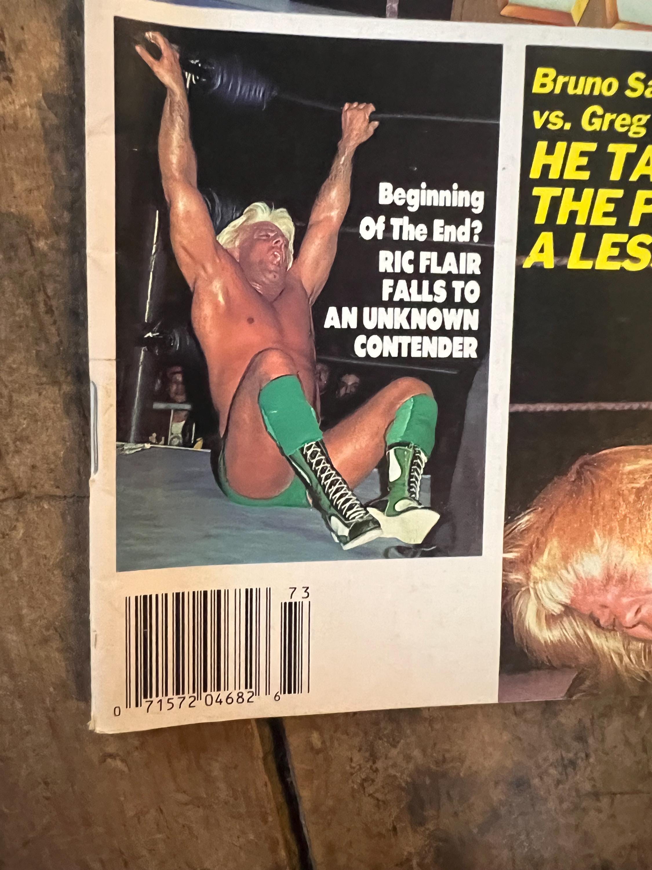 Pro Wrestling Illustrated Annual Magazine  - Fall 1987- WWF WWE